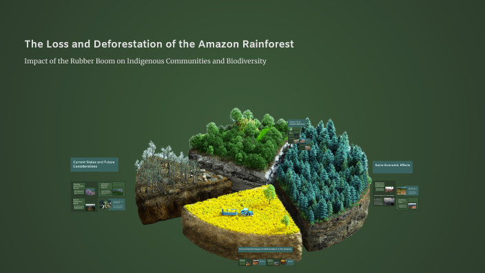 The Loss and Deforestation of the Amazon Rainforest by Henry Glosson on ...