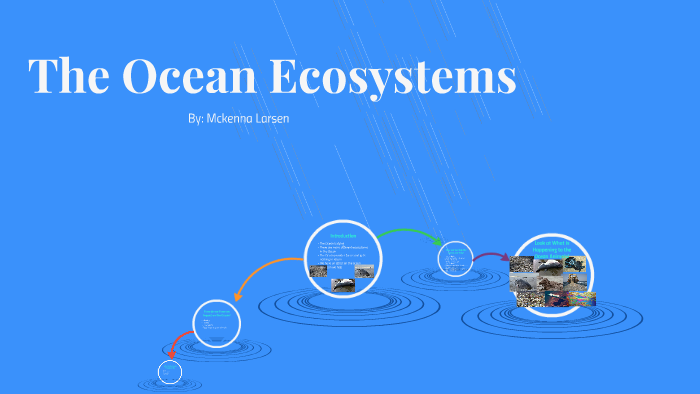 The Ocean Ecosystems by Mckenna Larsen on Prezi
