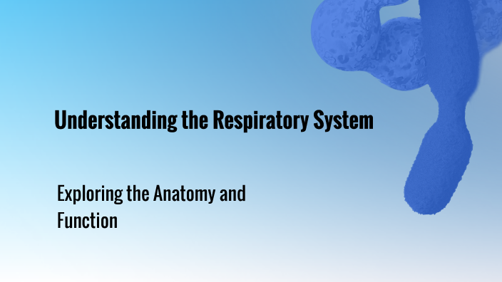 Understanding the Respiratory System by Anh Nguyễn on Prezi
