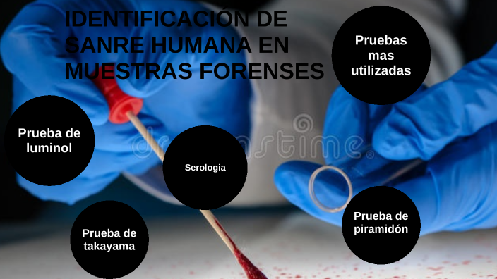 Identificación de sangre humana en muestras forenses by Rubi Hernandez