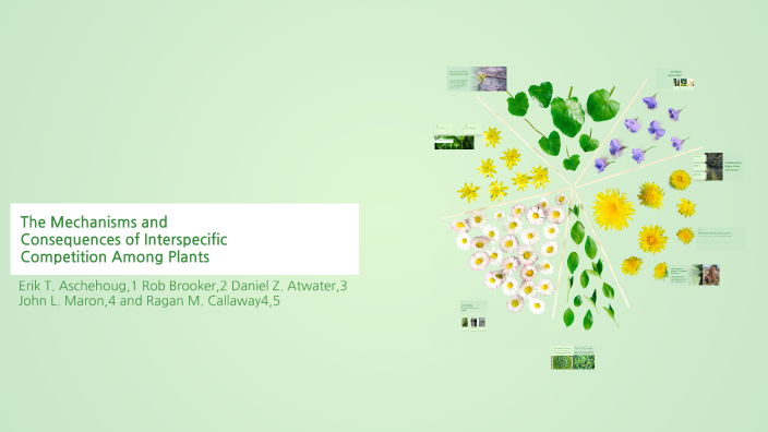 Understanding Plant Competition in Ecosystems by Hyuna Kim on Prezi