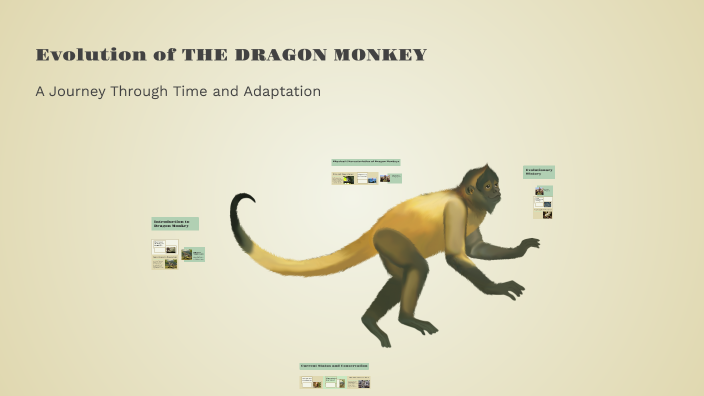Evolution of THE DRAGON MONKEY by James Gallagher on Prezi