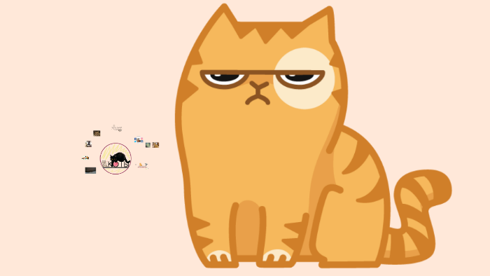 Стикеры котик