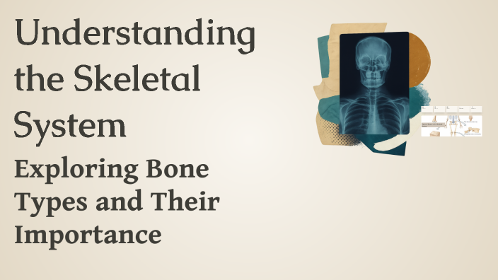Understanding the Skeletal System by Usama Nb on Prezi