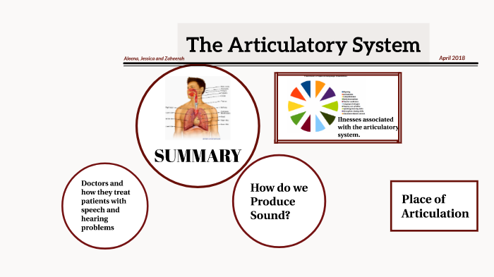 The Articulatory System by alee7860 alee7860 on Prezi