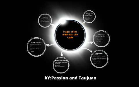 Stages of the Individual Life Cycle by Passion Houston on Prezi