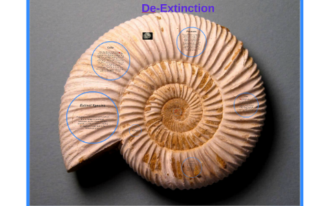 Extinct Genetics Genetic Engineering in Extinct Species by Adam Grimes on Prezi