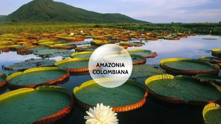 AMAZONIA COLOMBIANA by Sofia Miramá on Prezi
