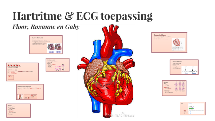 Hartritme & ECG toepassing by Gabriëlle van Wonderen on Prezi