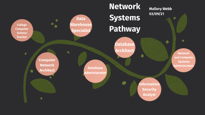 Pathway Nes Network System Pathway by Mallory Webb on Prezi