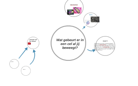 Verschillende organellen by marije treurniet on Prezi