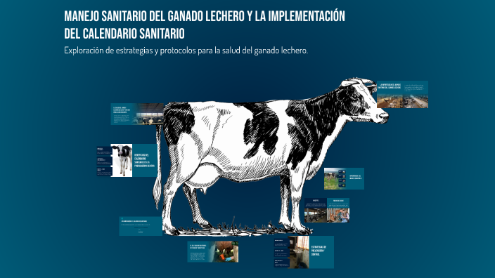 Manejo Sanitario del Ganado Lechero y la Implementación del Calendario