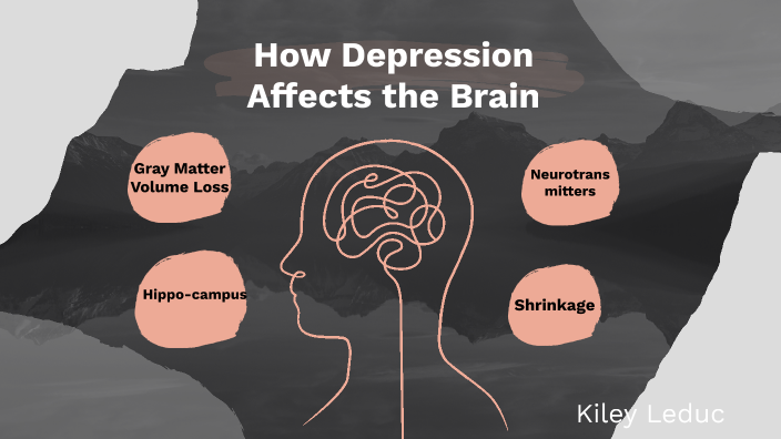 how-depression-affects-the-brain-by-kiley-leduc