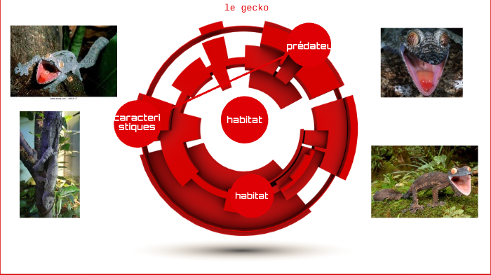 gecko math by mathias rioux on Prezi