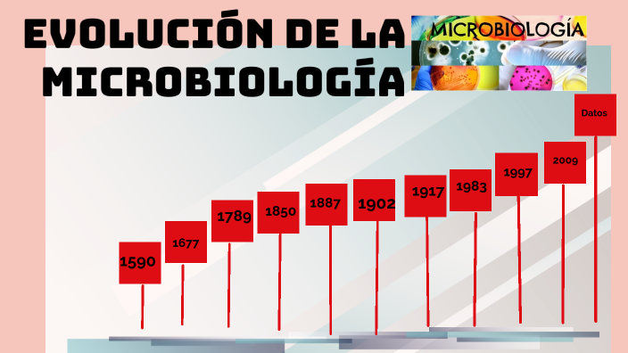 Línea De Tiempo De La Microbiología By Heydi Guadalupe Barrancos Rodriguez On Prezi 3028