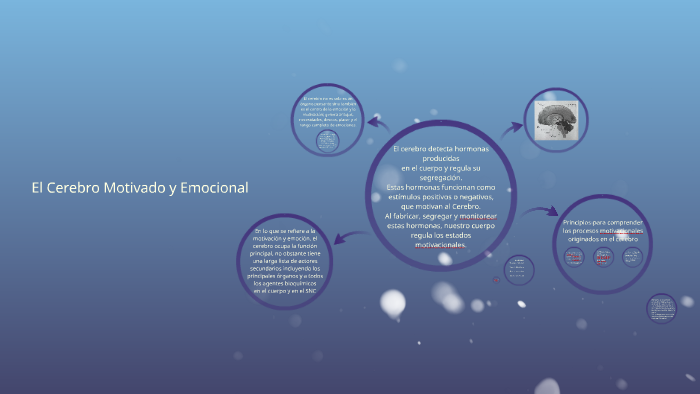 El cerebro Motivado y Emocional by Brenda Jimenez on Prezi