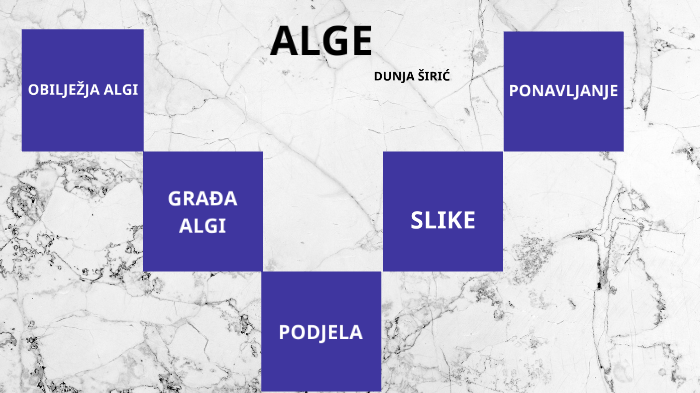 Alge By Dunja Siric