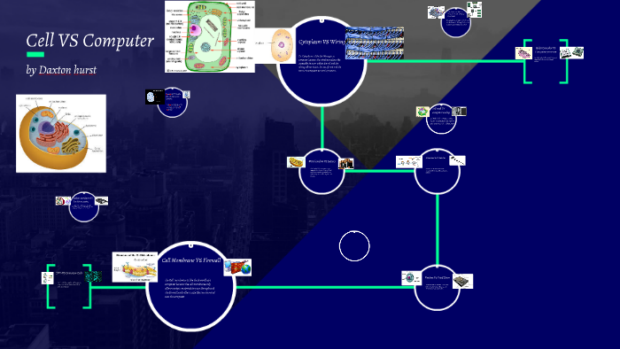 Animal cell VS Computer by Dax Hurst on Prezi