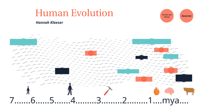 Human Evolution by Hannah Klaeser on Prezi