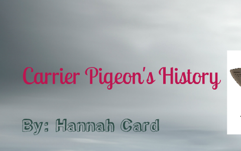 Carrier Pigeons Fun Fact Friday By Hannah Card On Prezi