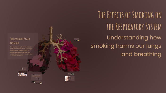 The Effects of Smoking on the Respiratory System by Oliver Tinker on Prezi