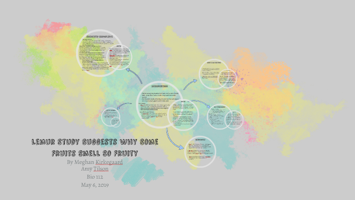 Module 5 Project Assignment by Meghan Kirkegaard on Prezi