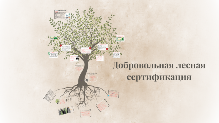 Добровольная лесная сертификация by Ksenia Miroshnichenko on Prezi