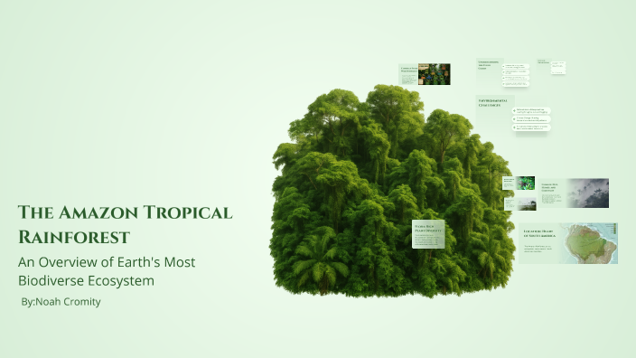 The Amazon Tropical Rainforest by on Prezi