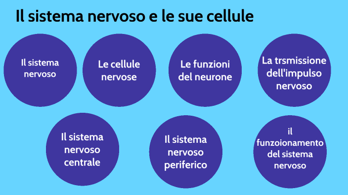 IL SISTEMA NERVOSO E LE SUE CELLULE by Manuel Mazzeo on Prezi Next