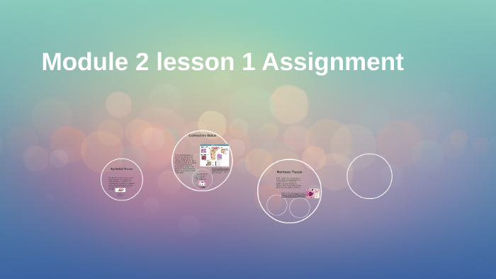 Module 2 lesson 1 Assignment by John Kamp
