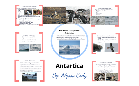 Antarctica Ecosystem by Alyssa Cody