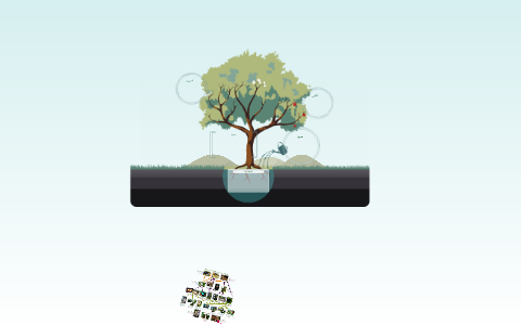 Daintree Rainforest Food Web by 8 6 on Prezi