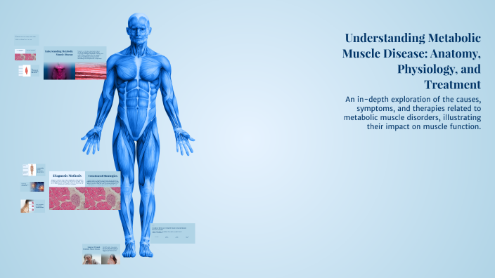 Understanding Metabolic Muscle Disease: Anatomy, Physiology, and ...