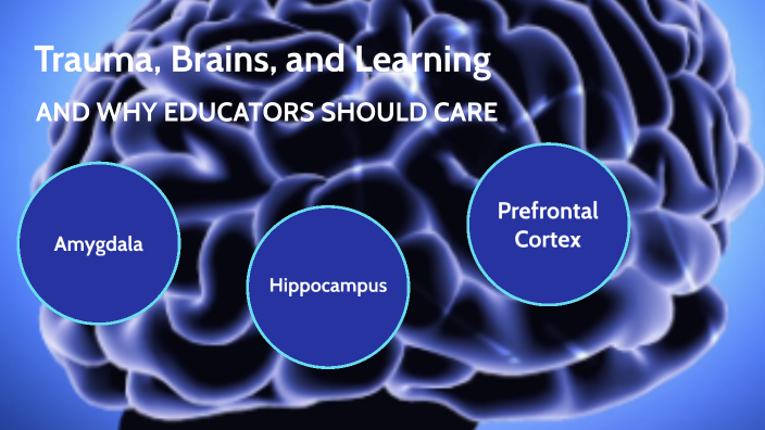 Trauma, Brains, and Learning by Alyssa Fahrendorf on Prezi