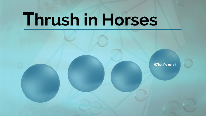 Thrush Disease by Gisselle Avilez-Rodas on Prezi
