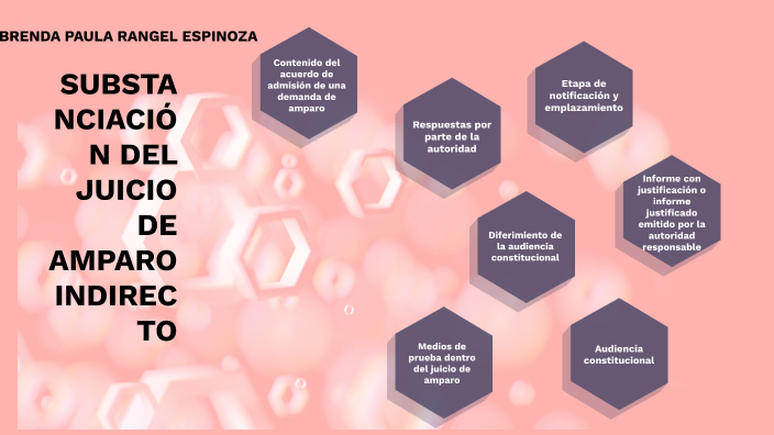 SUBSTANCIACIÓN DEL JUICIO DE AMPARO INDIRECTO by BRENDA PAULA RANGEL
