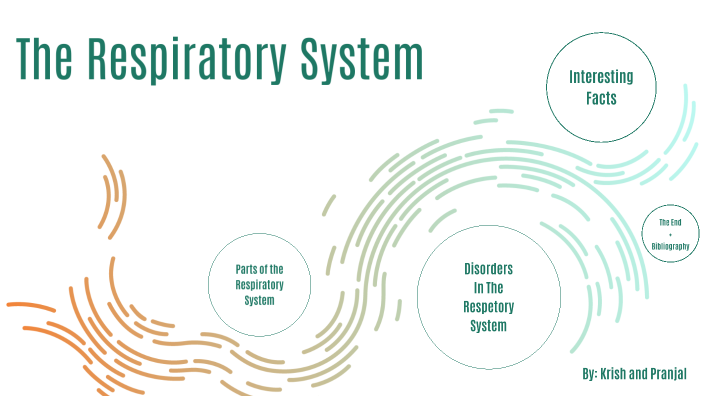 Respitory System by Krish Miglani on Prezi