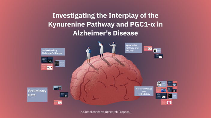 Investigating the Interplay of the Kynurenine Pathway and PGC1-α in ...