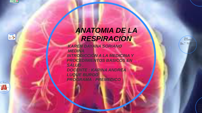 ANATOMIA DE LA RESPIRACION by Julian Burbano