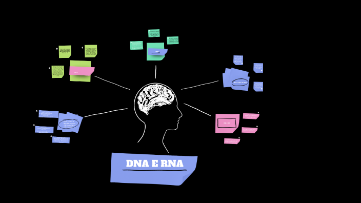 DNA E RNA by Heloísa Barros de Paula on Prezi