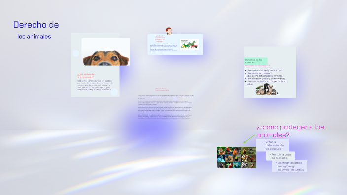 Derechos de los animales by Evelyn Gabb on Prezi