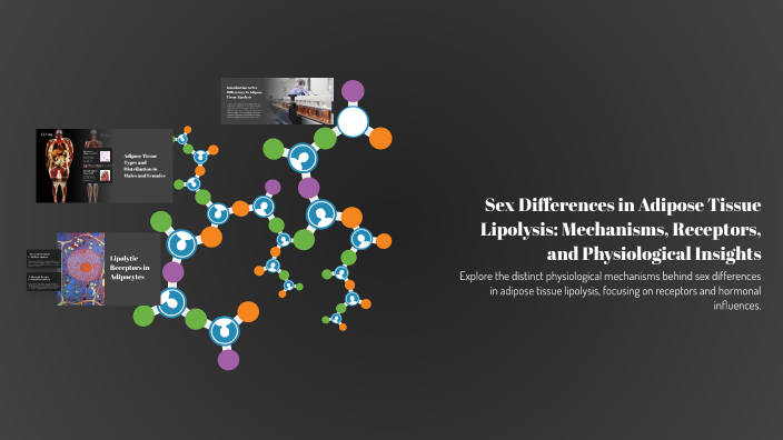 Sex Differences in Adipose Tissue Lipolysis: Mechanisms, Receptors, and ...