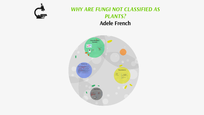 Why Are Fungi Not Classified As Plants By Adele French