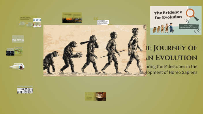 The Journey of Human Evolution by Bora Nomony on Prezi