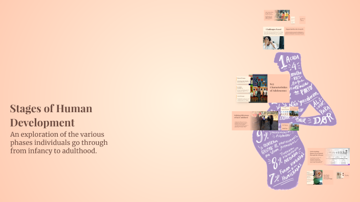 Stages of Human Development by teddy-des on Prezi