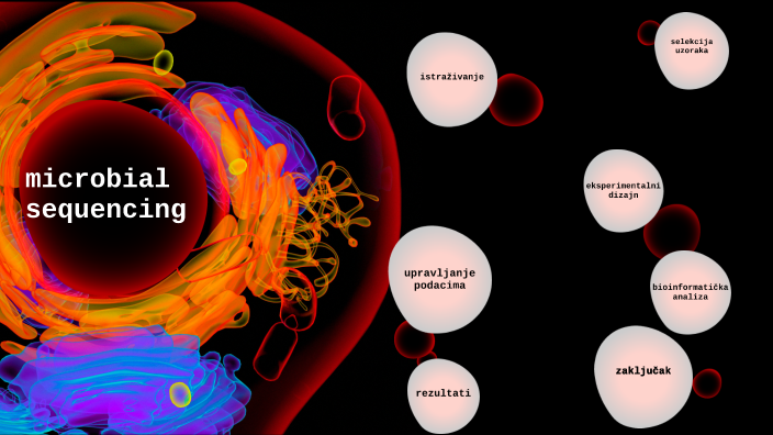 microbial sequencing by Vedrana Bučko on Prezi