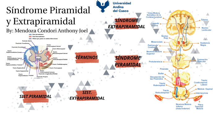 síndrome extrapiramidal