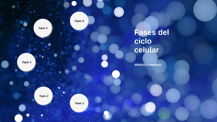 Ciclo celular by Guillermo Razo Trujillo on Prezi