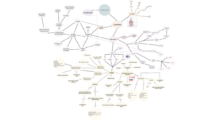 Le système immunitaire et la méningite by Melia Nourcy on Prezi