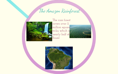 The Amazon Rainforest by c schofield on Prezi